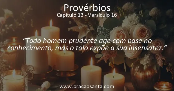 Provérbios 13:16