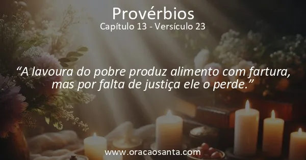 Provérbios 13:23