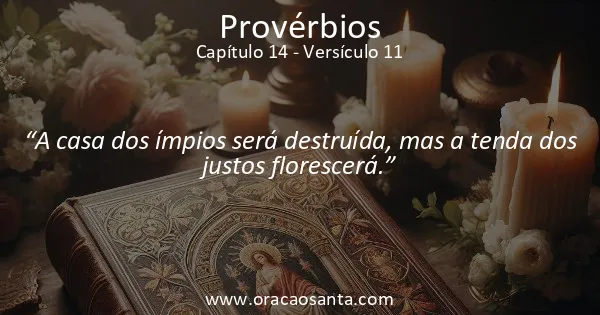 Provérbios 14:11