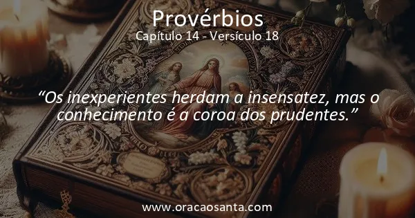 Provérbios 14:18