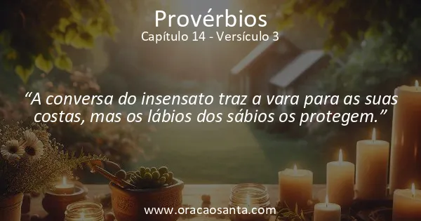 Provérbios 14:3