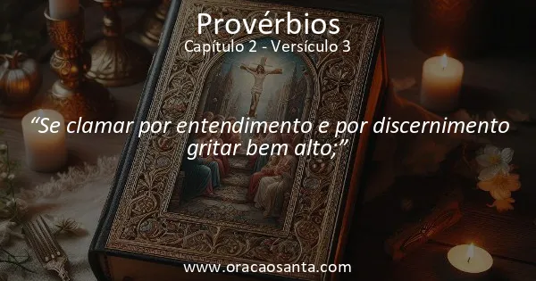 Provérbios 2:3