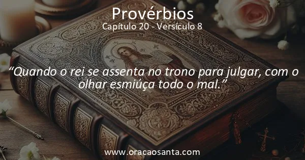 Provérbios 20:8