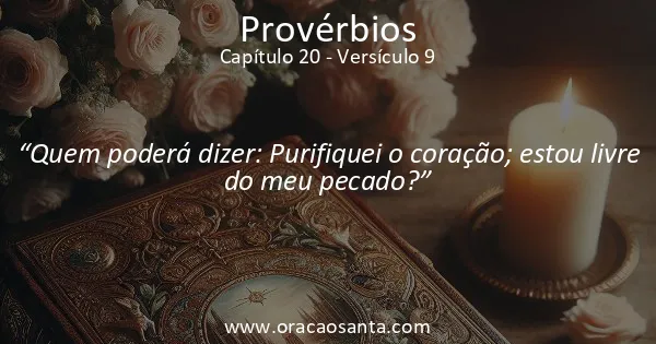 Provérbios 20:9