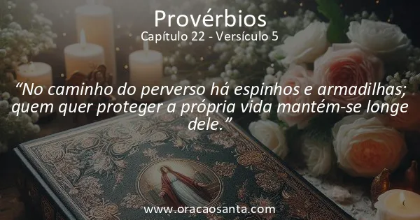 Provérbios 22:5