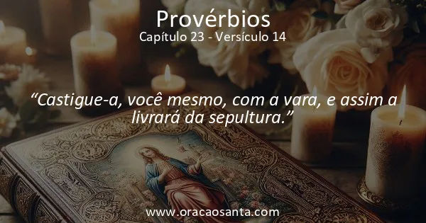 Provérbios 23:14