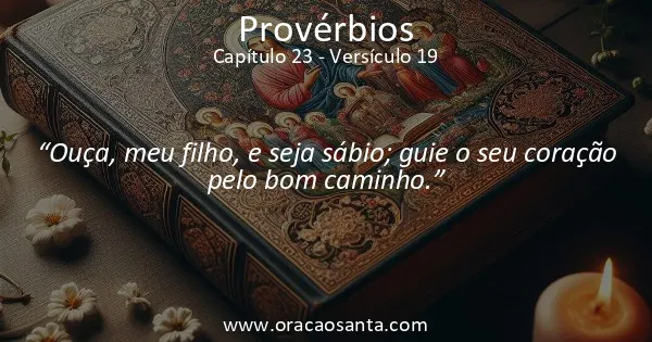 Provérbios 23:19