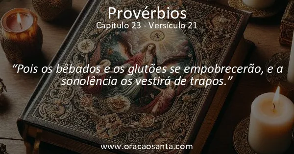 Provérbios 23:21