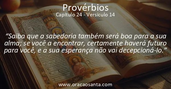 Provérbios 24:14
