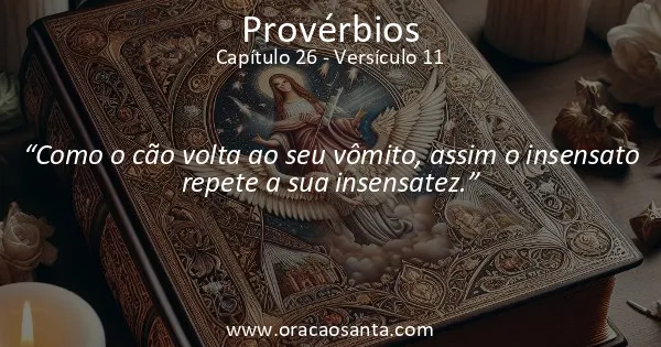 Provérbios 26:11