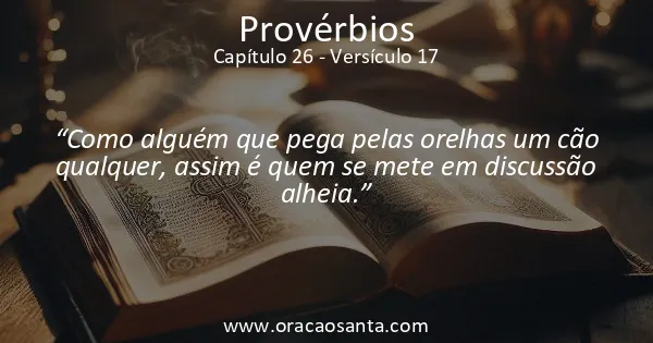 Provérbios 26:17