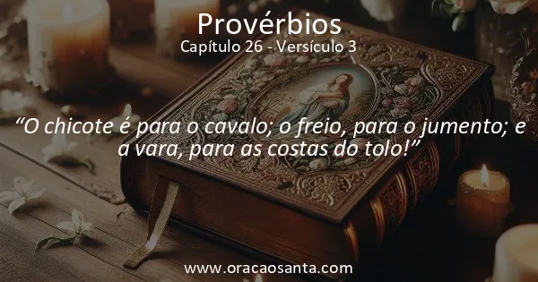Provérbios 26:3