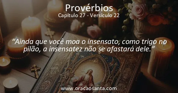 Provérbios 27:22