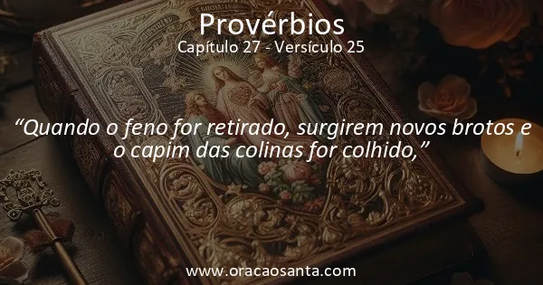Provérbios 27:25