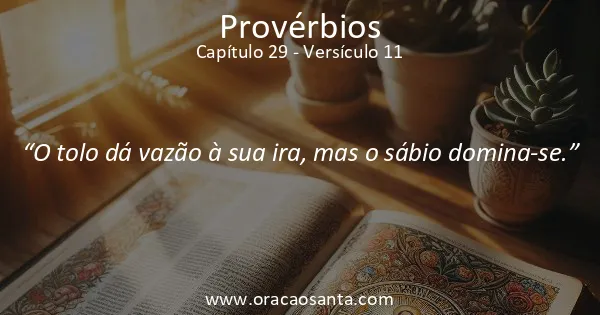 Provérbios 29:11