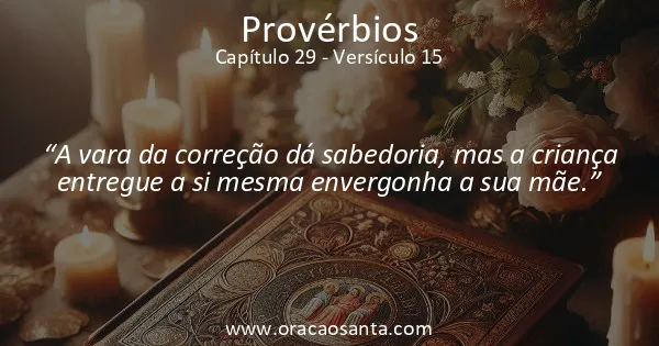 Provérbios 29:15