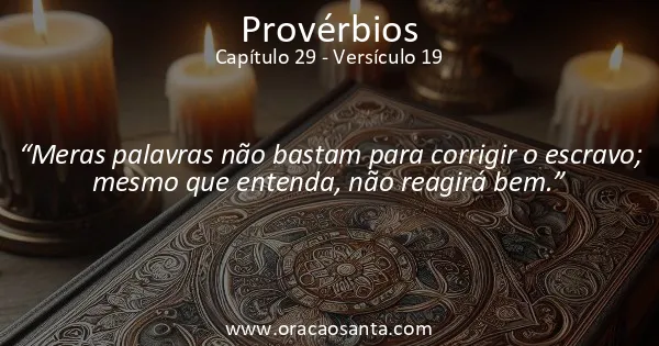 Provérbios 29:19