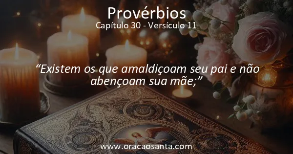 Provérbios 30:11