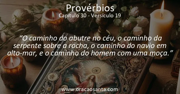 Provérbios 30:19