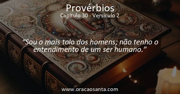 Provérbios 30:2