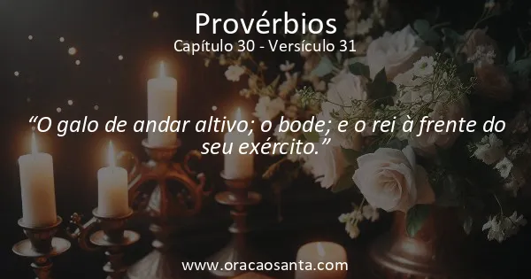 Provérbios 30:31