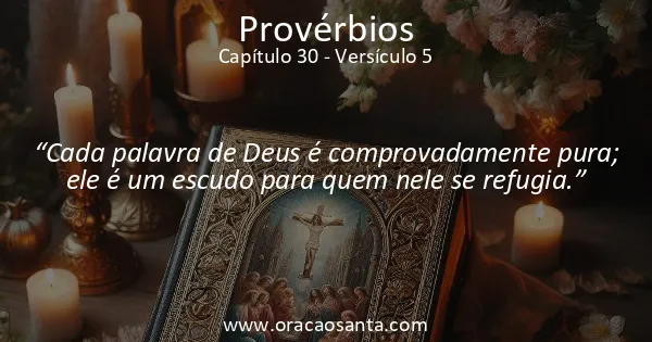 Provérbios 30:5
