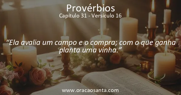 Provérbios 31:16