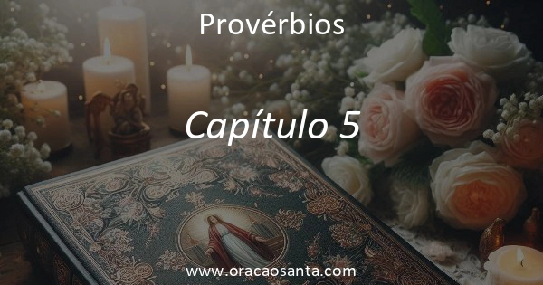 Provérbios 5