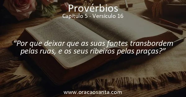 Provérbios 5:16