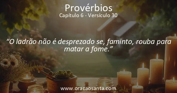 Provérbios 6:30