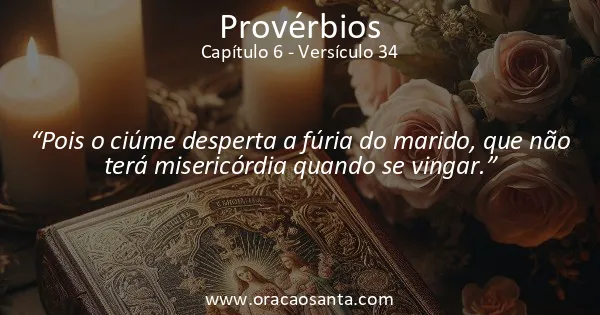 Provérbios 6:34