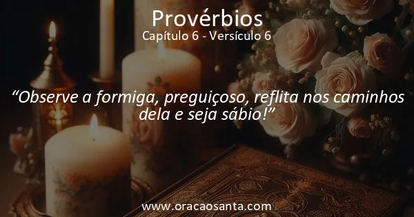 Provérbios 6:6