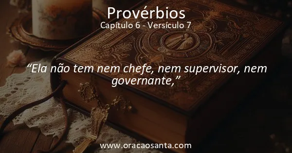 Provérbios 6:7