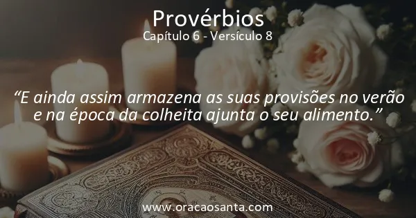 Provérbios 6:8