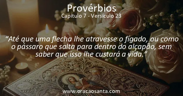 Provérbios 7:23