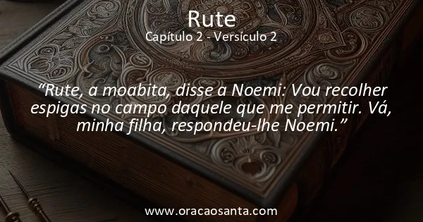 Rute 2:2
