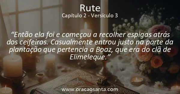 Rute 2:3