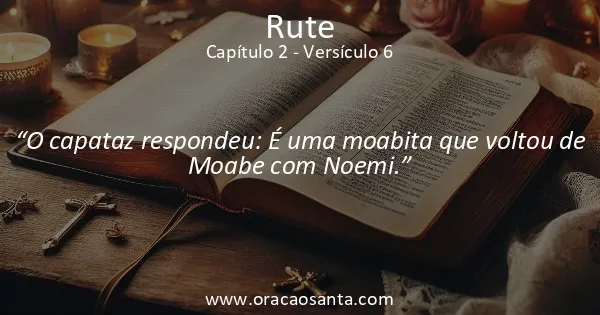 Rute 2:6