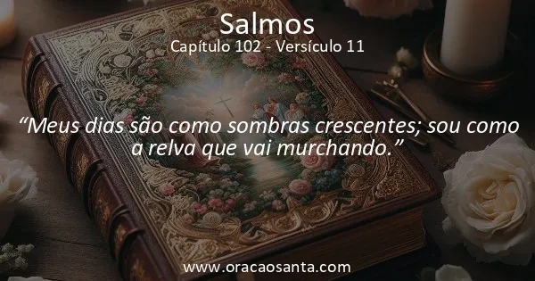Salmos 102:11