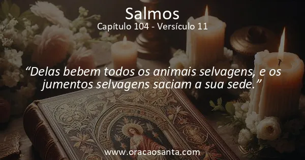 Salmos 104:11