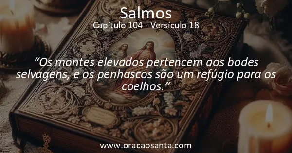 Salmos 104:18