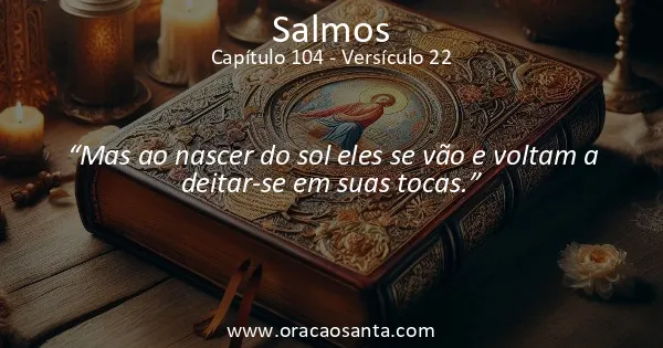 Salmos 104:22