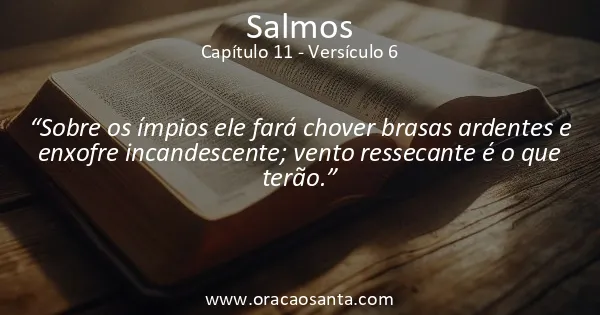 Salmos 11:6