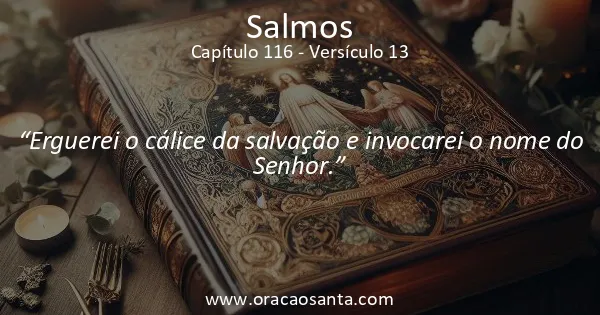 Salmos 116:13
