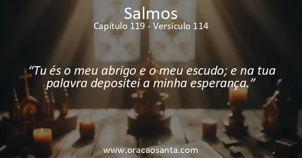 Salmos 119:114