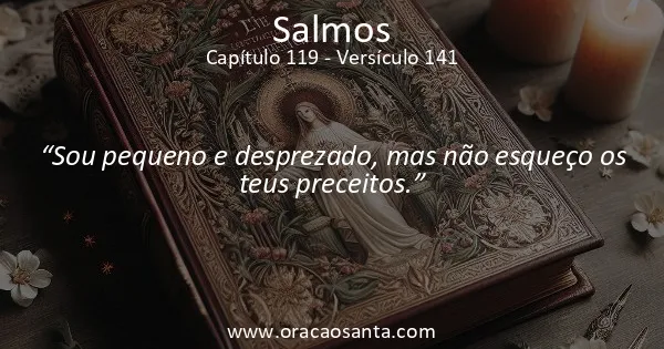 Salmos 119:141