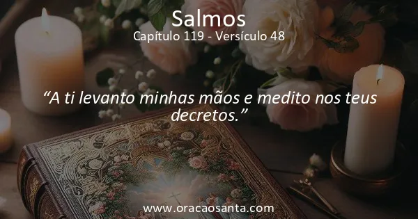 Salmos 119:48