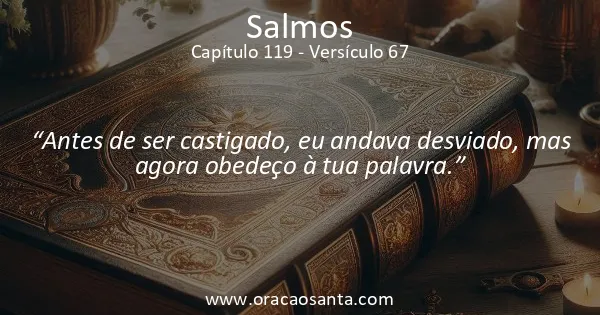 Salmos 119:67