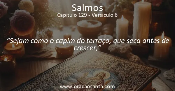 Salmos 129:6