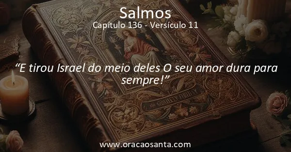 Salmos 136:11
